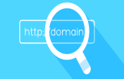 What is a domain name